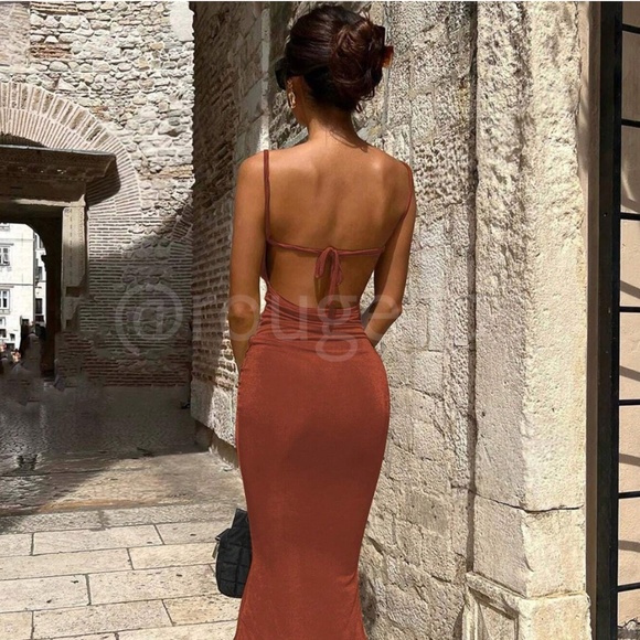 Backless Rust Brown Cowl Neck Long Slim Dress - Picture 10 of 13